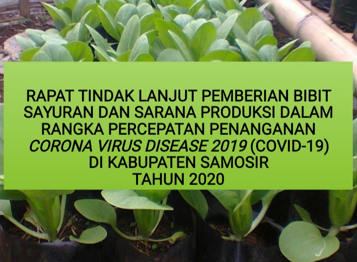 PEMKAB SAMOSIR AKAN BERI BIBIT SAYURAN DAN SARANA PRODUKSI BAGI MASYAKARAT EKONOMI LEMAH