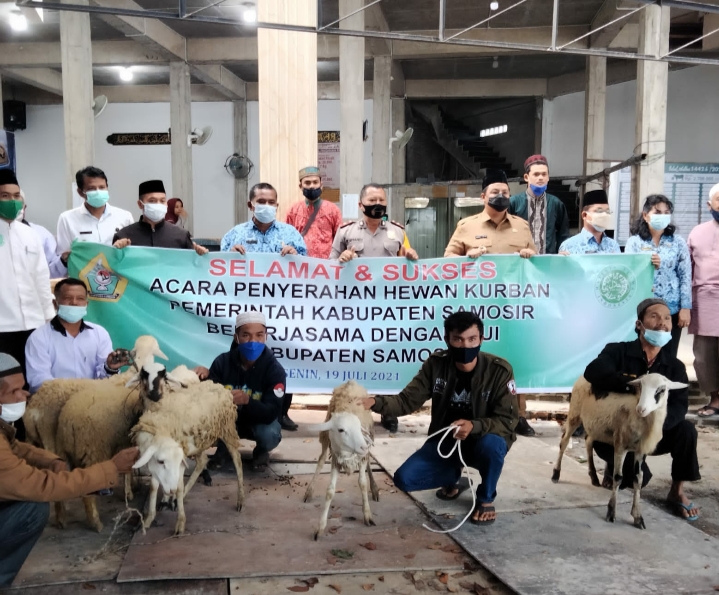 Bupati Samosir Serahkan Hewan Kurban Kepada Perwakilan Badan Kerukunan Muslim Kabupaten Samosir