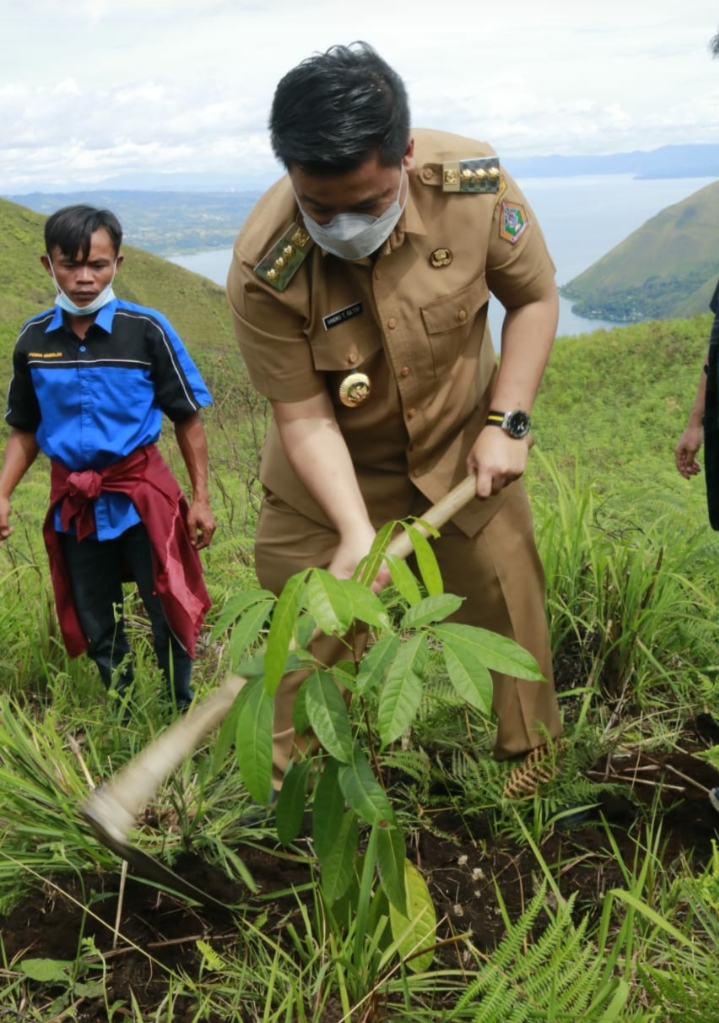 Bupati Samosir bersama PPRTB dan IALUSIDO Melakukan Penanaman 1000 Pohon Mahoni Tahap I di Tamba Dolok