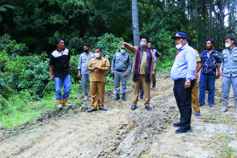 Bunga Desa Parhorasan Program Unggulan Pembukaan Jalan Parhorasan-Salaon