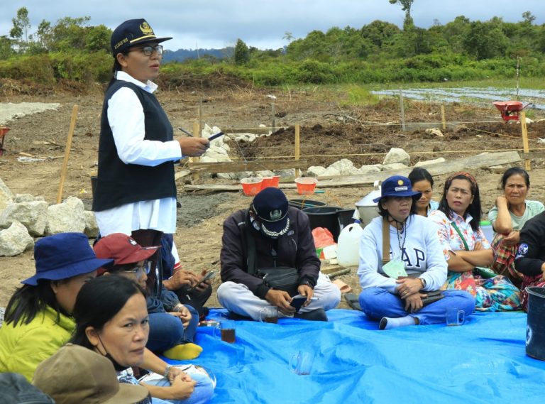 Kelompok Tani Seoulina Mendapat Bantuan Pembangunan Bangsal, Plt. Kadis Pertanian Letakkan Batu Pertama Pembangunan.