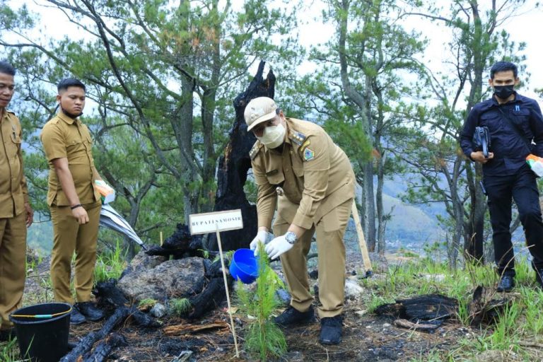 Bupati Canangkan Gerakan Penanaman Pohon terutama pada Lahan Bekas Terbakar di Kawasan Hutan Lindung   