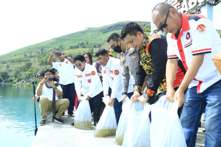 Wujudkan Komitmen Danau Toba Bermartabat, KMDT Bersama Bupati Samosir Tabur 100.000 Benih Ikan.