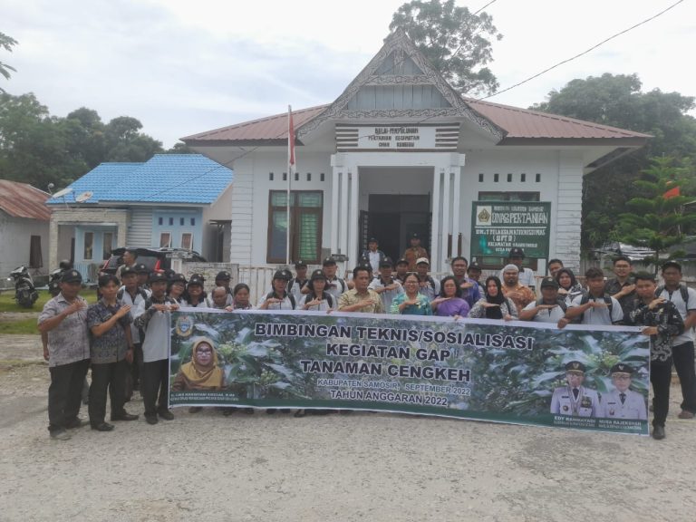 DINAS KETAPANG DAN PERTANIAN KABUPATEN SAMOSIR BANGKITKAN KEMBALI KEJAYAAN CENGKEH SAMOSIR