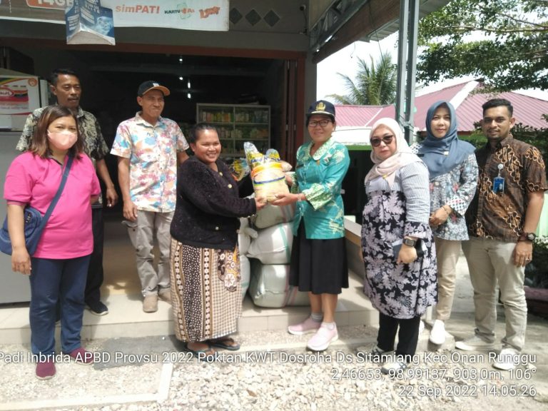 Sinergitas Dengan Propinsi Sumatera Utara, Pemkab Samosir Peroleh Bantuan 12,5 ton Bibit Padi