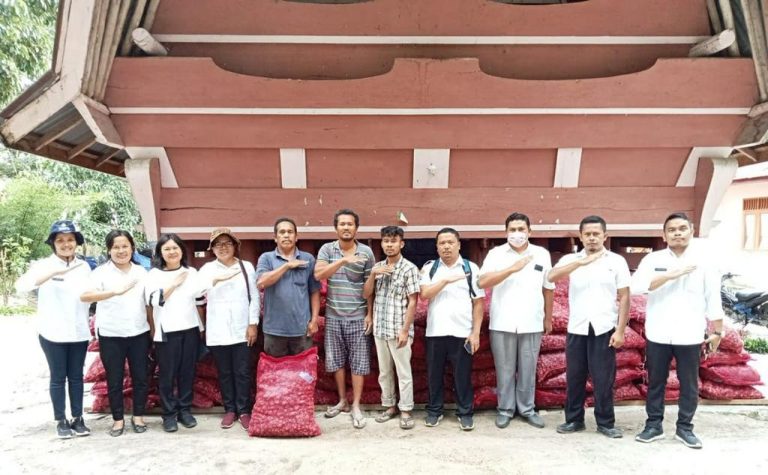 Salurkan Bibit Bawang Merah Varietas Batu Ijo, Bupati Samosir: Bibit yang Bermutu adalah Kunci Kesuksesan Kampung Bawang Merah