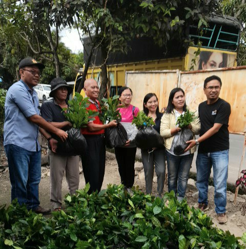 Dinas Ketapang dan Pertanian Kabupaten Samosir Distribusikan Bibit Kopi Program Bantuan Pengembangan Tanaman Kopi Tahun 2022. 