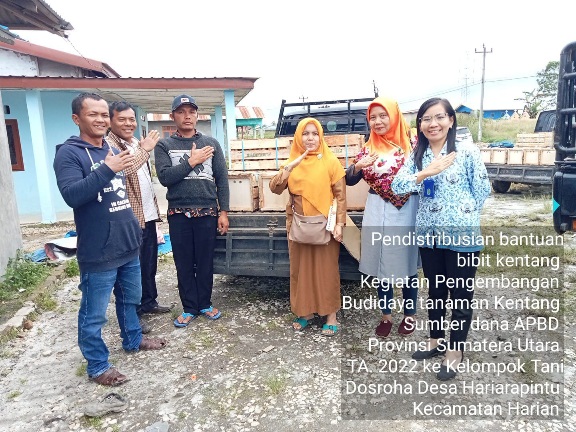 Pemerintah Kabupaten Samosir distribusikan bantuan Bibit Kentang dan Pupuk Organik