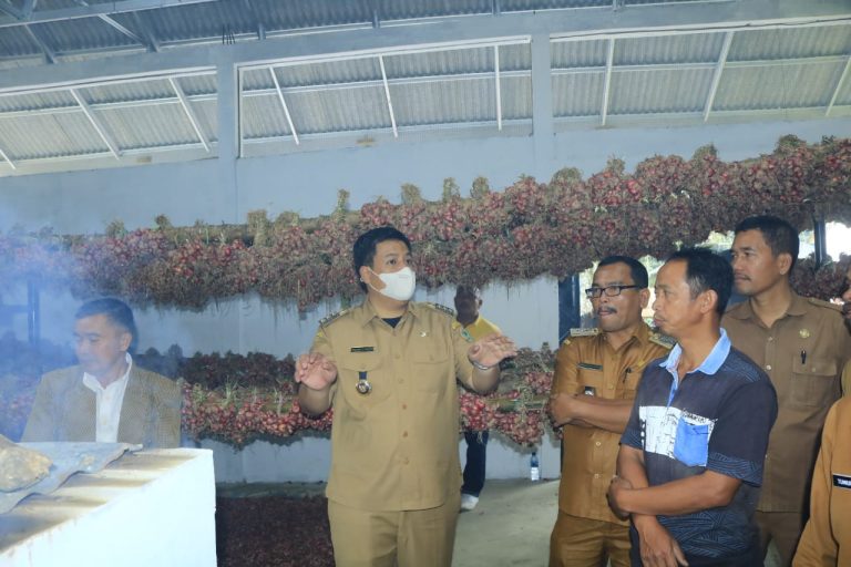 Bupati Samosir Resmikan Rumah Kompos, Bangsal Penangkar Bawang Merah dan Menyalurkan Bantuan Bibit Jagung Kepada Kelompok Tani