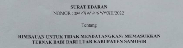 SURAT EDARAN BUPATI SAMOSIR TENTANG HIMBAUAN UNTUK TIDAK MENDATANGKAN/MEMASUKKAN TERNAK BABI DARI LUAR KABUPATEN SAMOSIR