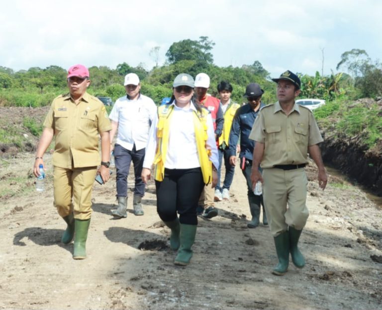Bupati Samosir Tinjau Lokasi Pembangunan IPLT dan TPA