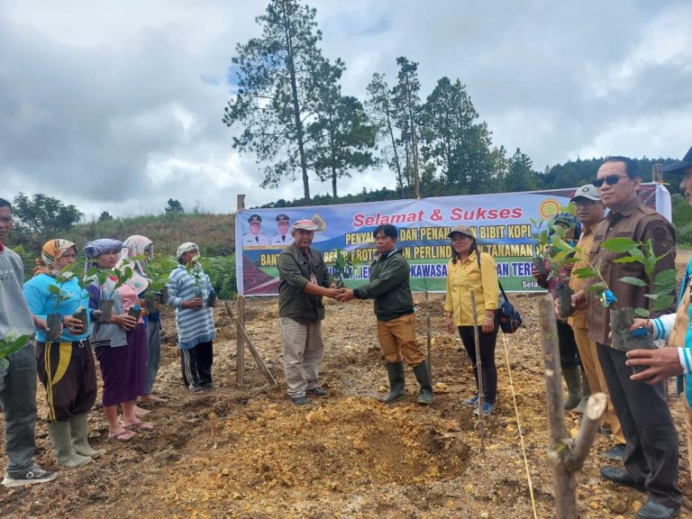 Dinas Ketapang Pertanian Salurkan Bibit Kopi dan Pupuk Bantuan BBPPTP Medan.