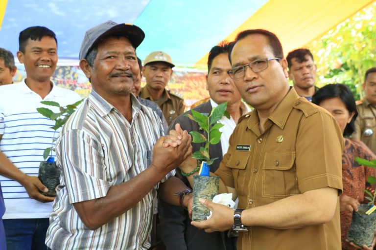 Pemkab Samosir Salurkan Bantuan Bibit Kopi dan Bawang Merah Sumber Dana APBD 2023.