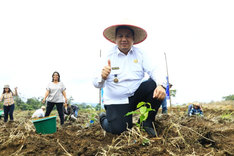 Bupati Samosir, Kepala BBPPTP Medan Bersama Kelompok Tani Melakukan Penanaman Bibit Kopi di Kawasan Pertanian Terpadu Hariara Pintu.