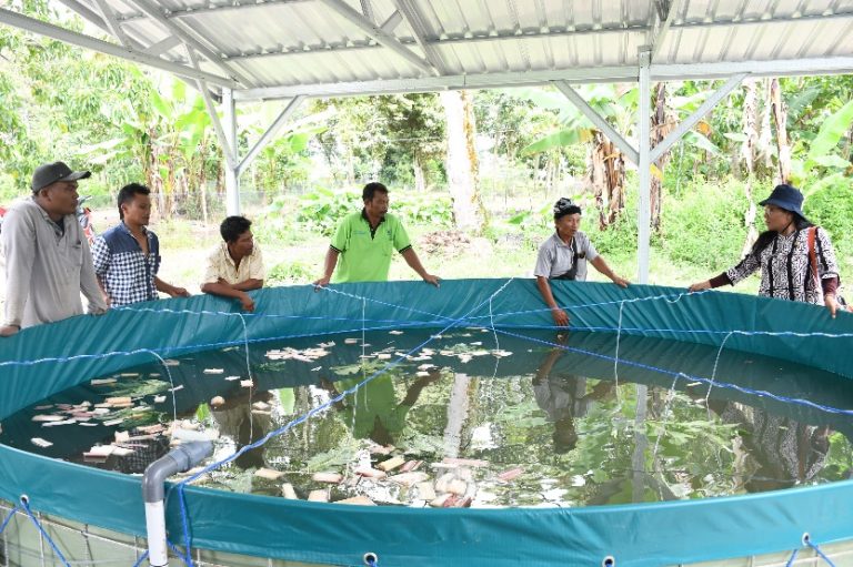 SINERGITAS DENGAN KEMENTERIAN KELAUTAN DAN PERIKANAN, PEMKAB SAMOSIR KEMBANGKAN BUDIDAYA IKAN SISTIM BIOFLOK