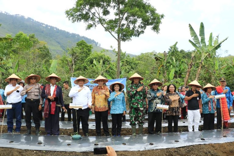 SERENTAK PADA 9 KECAMATAN, BUPATI DAN WABUP SAMOSIR TANAM CABAI