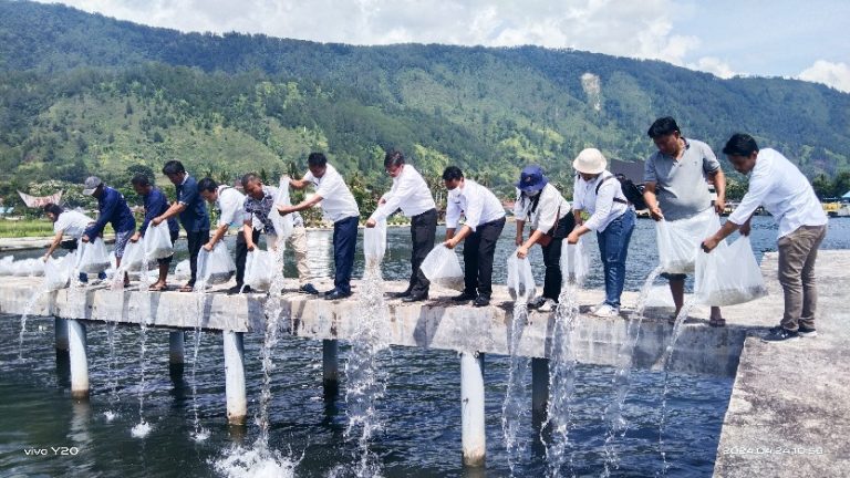 DKP Provsu bersama Dinas Ketapang dan Pertanian Samosir Tebar 30.000 Ekor Benih Ikan Nila di Perairan Danau Toba.