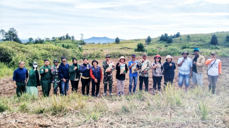 Pemkab Samosir Lakukan Penanaman Perdana Padi Gogo Bersama Poktan St. Adrianus Peajolo Desa Maduma