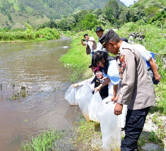 PEMKAB. SAMOSIR BERSAMA DKP PROVSU TABUR BENIH IKAN DI DANAU TOBA 