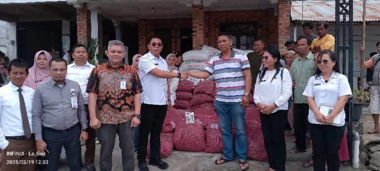 PT. Bank Sumut Bersama Dinas Ketapang dan Pertanian Samosir Salurkan Bibit Bawang Merah Bantuan Dana CSR Bank Sumut.