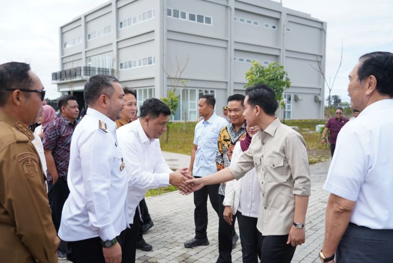 DISELA KUNJUNGAN WAPRES, KETUA DEN LUHUT BINSAR PANJAITAN DUKUNG KPT SAMOSIR DAN AKAN TURUN LANGSUNG TINJAU LOKASI  