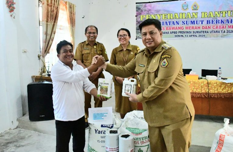 Hasil Kolaborasi Sumut Berkah, Bupati Samosir Serahkan Bantuan Bibit Pengembangan Cabai dan Bawang Merah 