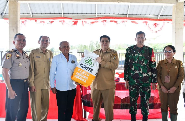 Gubsu Bantu Bibit Jagung 40 Hektare, Bupati Vandiko Turun Lapangan Tanam Benih Bersama Petani