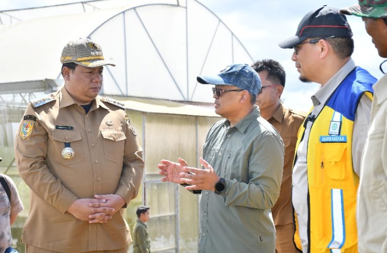 Gandeng Pemerintah Pusat, Bupati Vandiko Siapkan Samosir Jadi Sentra Bawang Putih Nasional