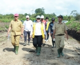 Bupati Samosir Tinjau Lokasi Pembangunan IPLT dan TPA
