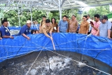 BUPATI SAMOSIR PANEN PERDANA IKAN NILA POKDAKAN MEKAR 