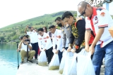 Wujudkan Komitmen Danau Toba Bermartabat, KMDT Bersama Bupati Samosir Tabur 100.000 Benih Ikan.