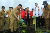 Bupati Samosir hadiri Aksi Go Green Hijaukan Samosir oleh PBB Melalui Penanaman 10.000 Pohon di Objek Wisata Togaraja.